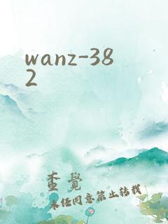 wanz-382