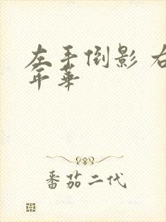 左手倒影 右手年华