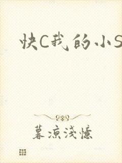 快C我的小SB