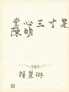 掌心三寸是人间陈明