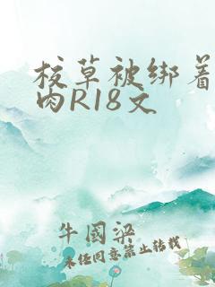 校草被绑着玩纯肉R18文