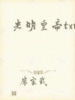光明皇帝txt