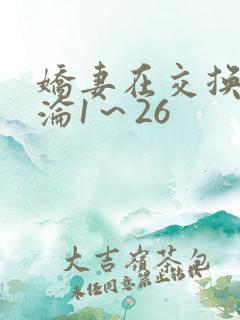 娇妻在交换中沉沦1～26