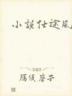 小说仕途风流