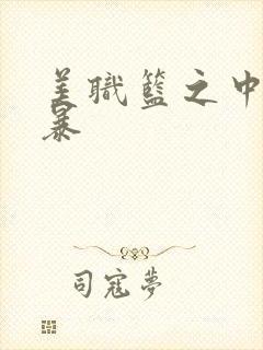 美职篮之中国风暴