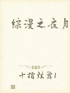 综漫之夜月