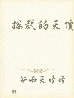 总裁的天价宠妻