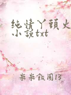 纯情丫头火辣辣小说txt