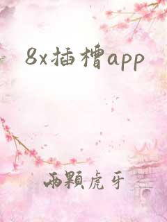 8x插槽app