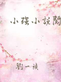 小强小说阅读网