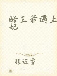 酷王爷遇上穿越妃