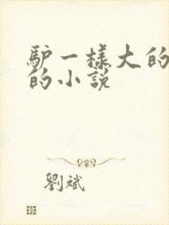驴一样大的凶器的小说