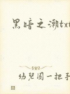 黑暗之潮txt