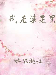 我老婆是黑社会