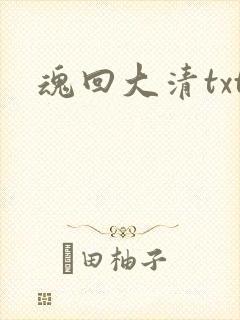 魂回大清txt