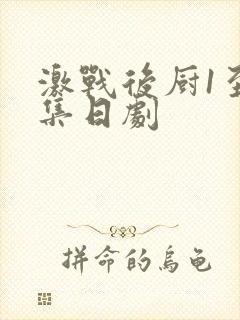 激战后厨1至5集日剧