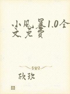 小风暴1.0全文免费
