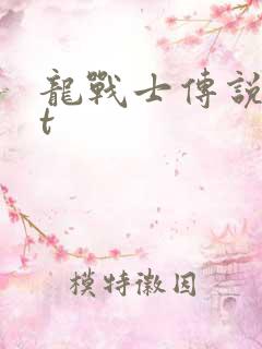 龙战士传说txt
