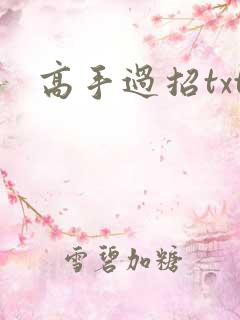高手过招txt