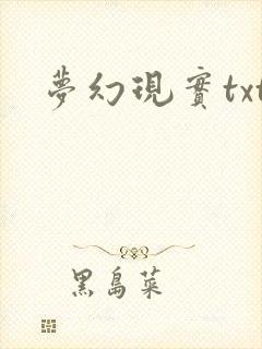 梦幻现实txt