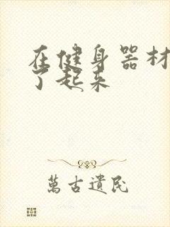 在健身器材上做了起来