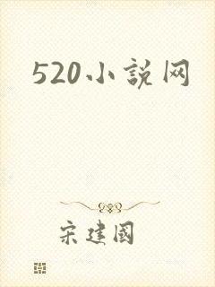 520小说网