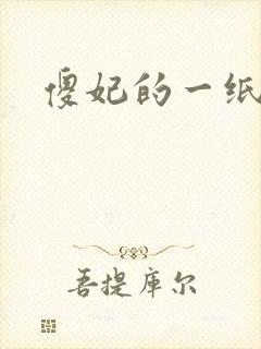 傻妃的一纸休书