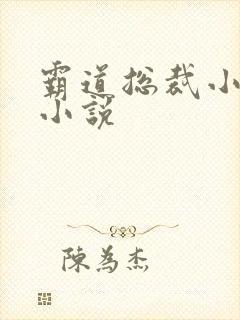 霸道总裁小娇妻小说