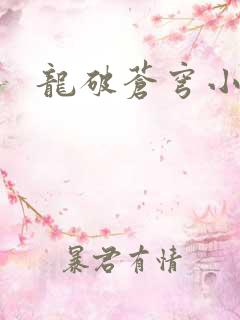龙破苍穹小说