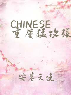 CHINESE重庆猛攻张先生