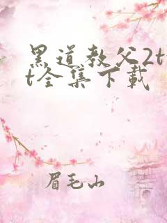 黑道教父2txt全集下载