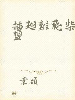 插翅难飞柴米油盐