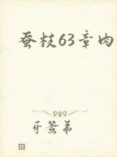 蚕枝63章肉
