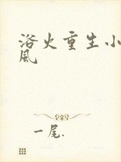 浴火重生小说陈风