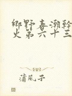 乡野春潮干柴烈火第六十三章