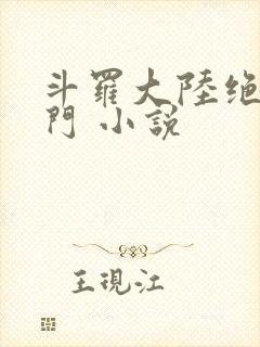 斗罗大陆绝世唐门 小说