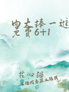 肉大捧一进一出免费6+1