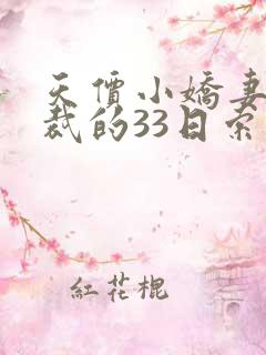 天价小娇妻,总裁的33日索情全文免费
