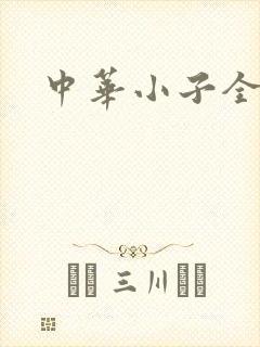 中华小子全集