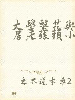 大学系花与锅炉房老张头小说