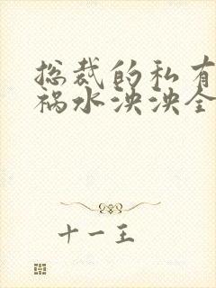 总裁的私有宝贝祸水泱泱全文阅读