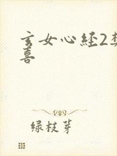 玄女心经2樊春喜