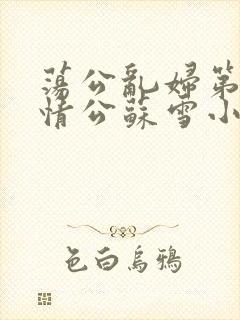 荡公乱妇第1章情公苏雪小说