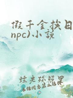 假千金挨日记(npc)小说