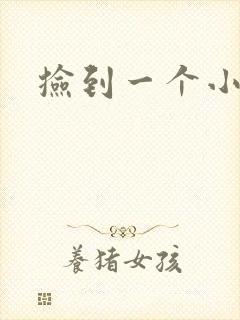 捡到一个小妖精