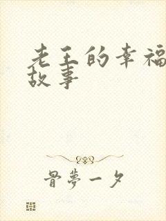 老王的幸福生活故事