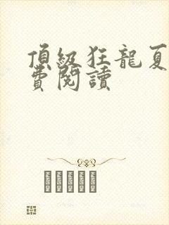 顶级狂龙夏天免费阅读