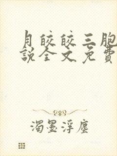 月皎皎三胞胎小说全文免费阅读