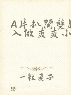 A片扒开双腿进入做爽爽小说