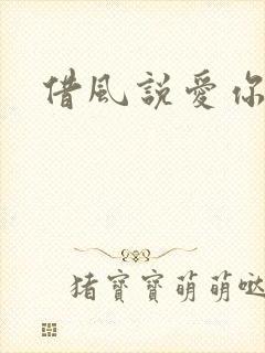 借风说爱你